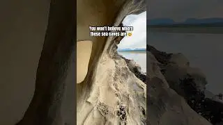 Have you seen these sea caves in Nanaimo? 😮 Search Jack Point on AllTrails #vancouverisland