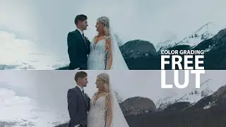 Beautiful Wedding LUTs for Wedding Filmmakers