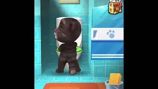 Tom in the Toilet