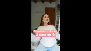 Semana 6 - Los Malestares del Embarazo 🤢
