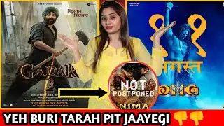 GADAR 2 & OMG 2 & ANIMAL BIGGEST CLASH 😲 REACTION
