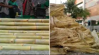 Sugarcane Bagasse Treatment  | Innovative Design