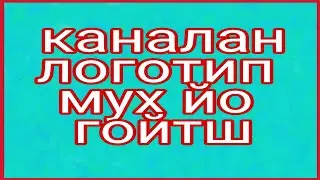 Золотой логотип мух йо гойтш