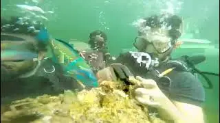 Under Water We Speak