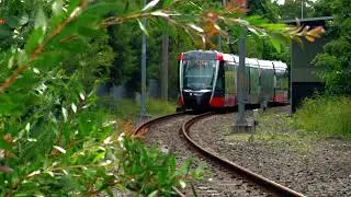 L2/L3's Alstom 305 on L1 Dulwich Hill Line