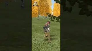 HASSLE ONLINE / RADMIR CRMP / GTA 5 в телефоне