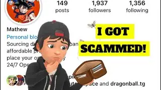 I Got Scammed On S.H.Figuarts!