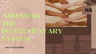 ASSESSING THE INTEGUMENTARY SYSTEM