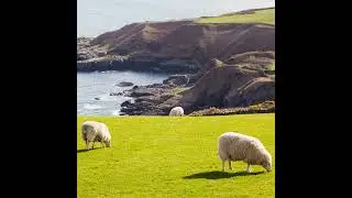 COUNTRYSIDE 15 APRIL 2025