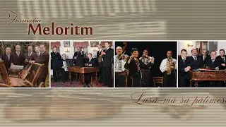 Formația Meloritm - 