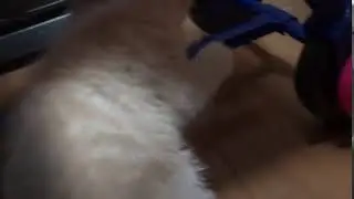 meomeocl 131 clip3