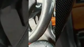 ужас что с псом случилось #shorts