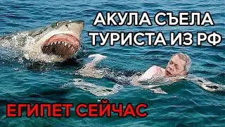 EGYPT 2023 EMERGENCY ❗️ SHARK ATE TOURIST Hurghada attacked beach Dream beach SHARK ATTACKED