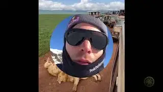 Смешные животные 9/Funny animals 9