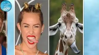 Things That Are Hilariously Similar To Each Other