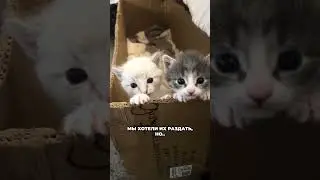 Теперь я их не отдам  😭