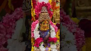 ವರಮಹಾಲಕ್ಷ್ಮಿ ಹಬ್ಬ ವಿಶೇಷ 🪷🪷🌸ಶ್ರೀ ಮಹಾಕಾಳಿ ದೇವಸ್ಥಾನ (ಟಿ. ಎಮ್. ಹೊಸೂರು ಗೇಟ್ ಮೈಸೂರು-ಬೆಂಗಳೂರು ಹೈವೇ)