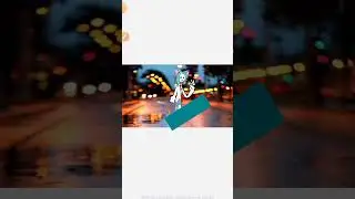 Untitled video