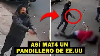 BRUTALES ASESlN4T0S entre PANDlLLAS de EE.UU - CAPTADOS en CÁMARA