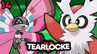 PERSEGUITATO la SFORTUNA! PERDO 8 POKMON MA... | Pokémon Y Tearlocke