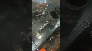 21 июля 2023 г.
