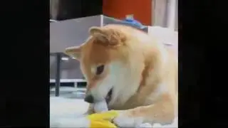 Bé Khỏe Bé Ngon -