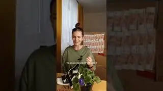 Записаться на бесплатную консультацию можно по ссылке в шапке профиля #психология #саморазвитие