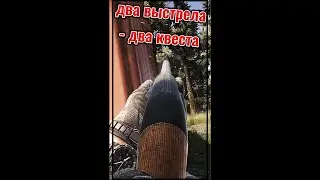 ДВУМЯ ВЫСТРЕЛАМИ ЗАКРЫЛ ДВА КВЕСТА #escapefromtarkov