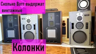 Sony/Esprit APM-8 & Accuphase M1000