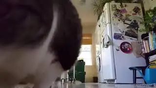 Fat cat