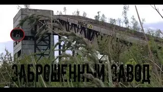 забрались НА ЗАБРОШЕННЫЙ ЗАВОД