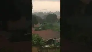 African Morning Thunder Rains. #rainsounds #relaxing #relaxingsounds #rain  #sleepsounds #trending