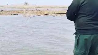 Рыбалка на базе Пиранья-Дельта