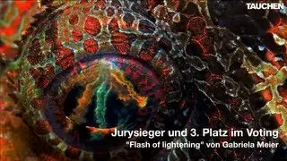Die Siegerfotos aus dem Leserfoto-Voting Oktober 2011