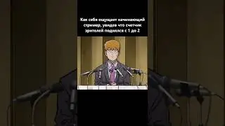 POV: Начинающий стример #мем #стрим