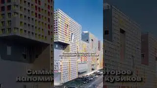 Учеба за границей: ОБЩАГА в США и как там ЖИВУТ?! #shorts