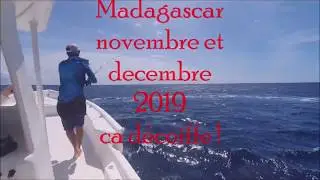 Les fishs On les défonces avec gt-one-fishing.