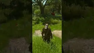 Забрели не туда... The Witcher 3: Wild Hunt | Ведьмак 3: Дикая Охота.