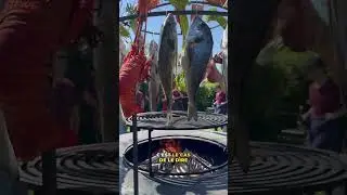 La cage terre et mer du braséro 🔥🦞🐟🥩 Tournebroche Gueuleton des Alpes  🍽️