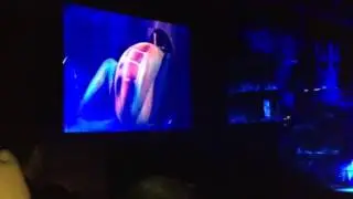 Lady gaga concert