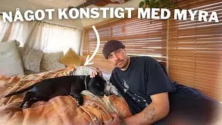 VI LÄR OSS ALDRIG