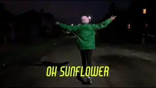 Awake In The Big Sleep - Sunflower (Lyric Video)