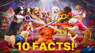Discovering Canine Wonders: Top 10 Fascinating Dog Facts Revealed!