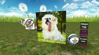 Unusual and amazing animals