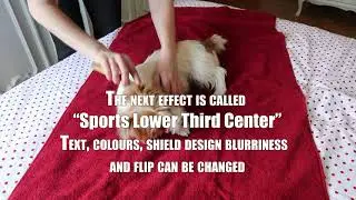 Premiere Pro 2021 Default Titles and Animations. Sports Graphic Overlay to Sports Lower Third Side