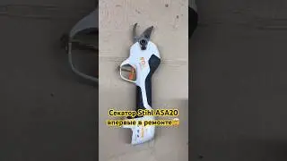 Stihl ASA20 pruning shears are back in service for the first time 🤯 