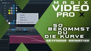 Ease In / Ease Out - MAGIX VIDEO PRO X  - Tutorial Deutsch Fortgeschritten