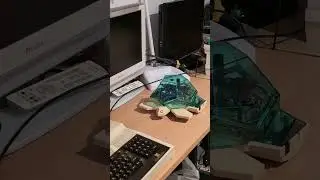 Valiant Turtle Logo test on BBC Master 128