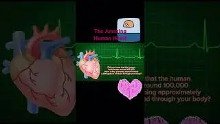 The Heart #viral #viralvideo #viralshorts #viralvideos #fypシ゚viral #fyp #fypシ #shortvideo #shorts