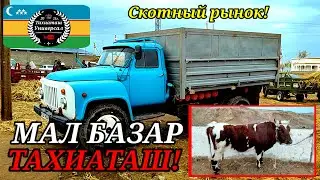 МАЛ БАЗАР 🐄 СКОТНЫЙ РЫНОК 06.04.25ж.
